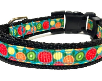 Citrus Dog Collar - Adjustable Dog Collar - Fruit Dog Collar - 5/8"