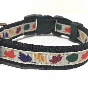 Collar de perro de otoño - Collar de perro ajustable - 5/8 de pulgada de ancho - Hojas, Otoño