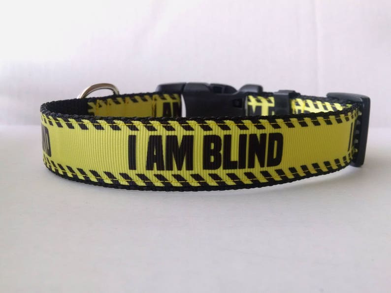 I AM BLIND Dog Collar Adjustable Dog Collar image 4
