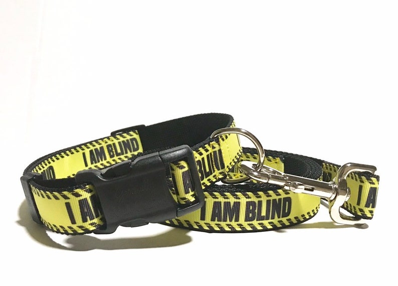 I AM BLIND Dog Collar Adjustable Dog Collar image 6