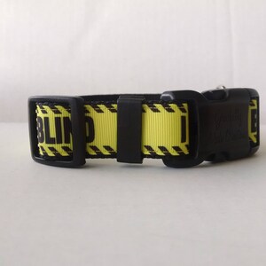 I AM BLIND Dog Collar Adjustable Dog Collar image 3