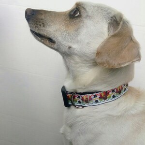 May include: A white dog with brown ears wearing a colorful patterned dog collar with a silver buckle. The dog is looking up and to the left.