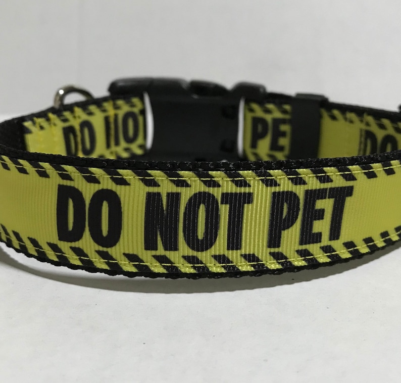 DO NOT PET Dog Collar Adjustable Dog Collar Etsy