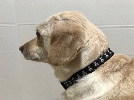 Stormtrooper dog cheap collar
