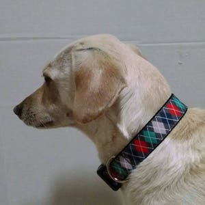 Argyle Dog Collar Adjustable Dog Collar image 5