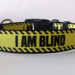 I AM BLIND Dog Collar Adjustable Dog Collar image 1