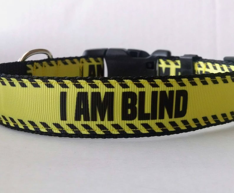 I AM BLIND Dog Collar Adjustable Dog Collar image 1