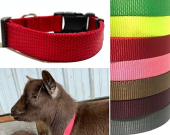 Nylon Collar - Goat Collar - Dog Collar