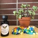 see more listings in the tinctures for cats section