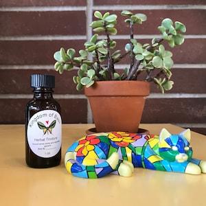 Cat Kidney Tincture (Liu Wei Di Huang Wan)