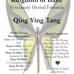 Puede incluir: Una ilustración de una mariposa verde y amarilla con el texto "Kingdom of Basil Veterinary Herbal Formula Qing Ying Tang" en la parte superior. La imagen también incluye una lista de ingredientes herbales y recomendaciones de dosificación para gatos y perros.