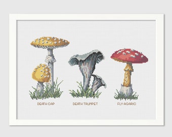 Mushroom Cross-Stitch Pattern - Poisonous Mushrooms - Counted Cross-stitch - Needlepoint Pattern  - Instant Download PDF - Digital
