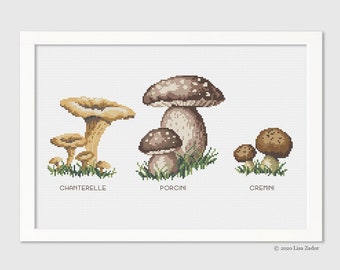 Mushroom Cross-Stitch Pattern - Culinary - Counted Cross-stitch -Mushroom types - Needlepoint Pattern  - Instant Download PDF - Digital