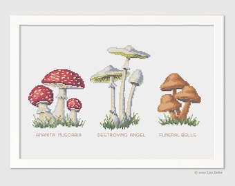 Mushroom Cross-Stitch Pattern - Poisonous Mushrooms 2- Counted Cross-stitch - Needlepoint Pattern  - Instant Download PDF - Digital