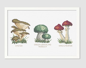 Mushroom Cross-Stitch Pattern - Edible Mushrooms - Counted Cross-stitch - Needlepoint Pattern  - Instant Download PDF - Digital -Fungi