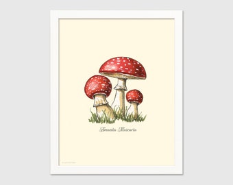 Impression champignon - 18 styles différents - Impression alimentaire - Tableau des champignons - Impression d’automne - Art de la cuisine - Mycologie - Champignons