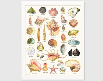 Seashell Beach House Print from Original Hand Painted Artwork with Varieties of Shells in Watercolor Style, Summer Vacation Hostess Gift