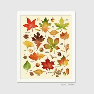 Impresión de hojas de otoño a partir de obras de arte originales - Gráfico de hojas en acuarela para Acción de Gracias, Halloween, octubre