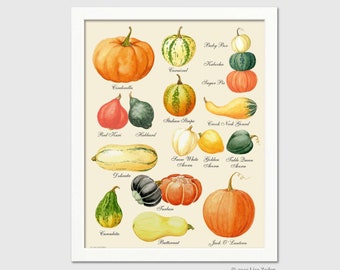 Pumpkin Print  from Original Artwork - Types of Pumpkins in Watercolor Style for Autumn, Halloween or Thanksgiving