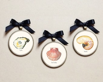 Seashell Christmas Ornaments from Original Artwork - Beach Shell Ornaments  -Summer Beach House Decor