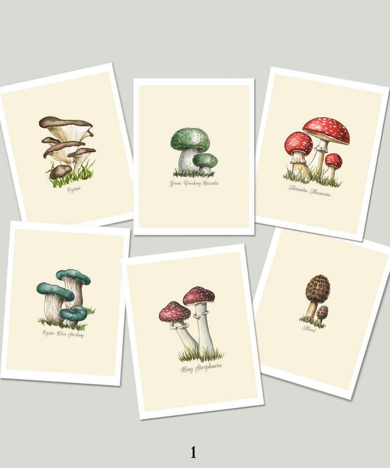 Mushroom Cross-Stitch Pattern Edible Mushrooms Counted | Etsy