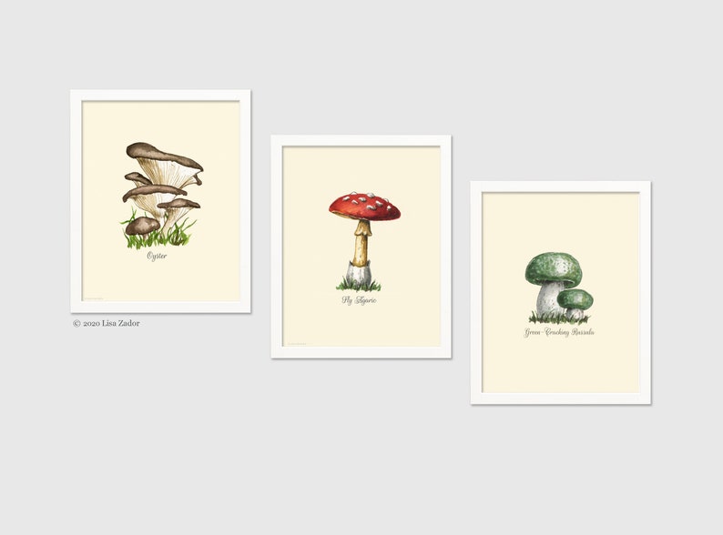 Mushroom Food Kitchen Print with Colorful Poisonous and Non-Poisonous Mushrooms image 3