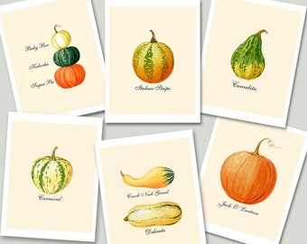 Pumpkin Cards, Pumpkin Notecards, Autumn Cards, Thanksgiving Cards, Pumpkin Varieties, Types of Pumpkin, Food Cards