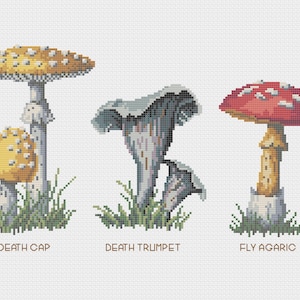 Mushroom Food Kitchen Print with Colorful Poisonous and Non-Poisonous Mushrooms image 6