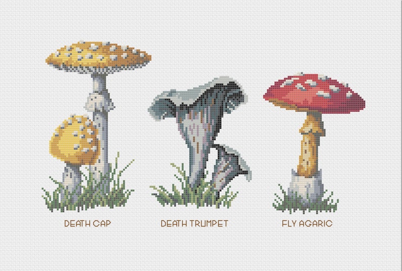 Mushroom Food Kitchen Print with Colorful Poisonous and Non-Poisonous Mushrooms image 6