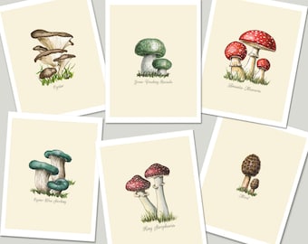 Mushroom Varieties Cards, Set of 6 Colorful Cards and Envelopes with Poisonous and Non-Poisonous Mushrooms