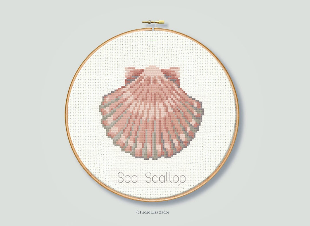 Sea Scallop - Counted Cross-stitch - Seashell Needlepoint