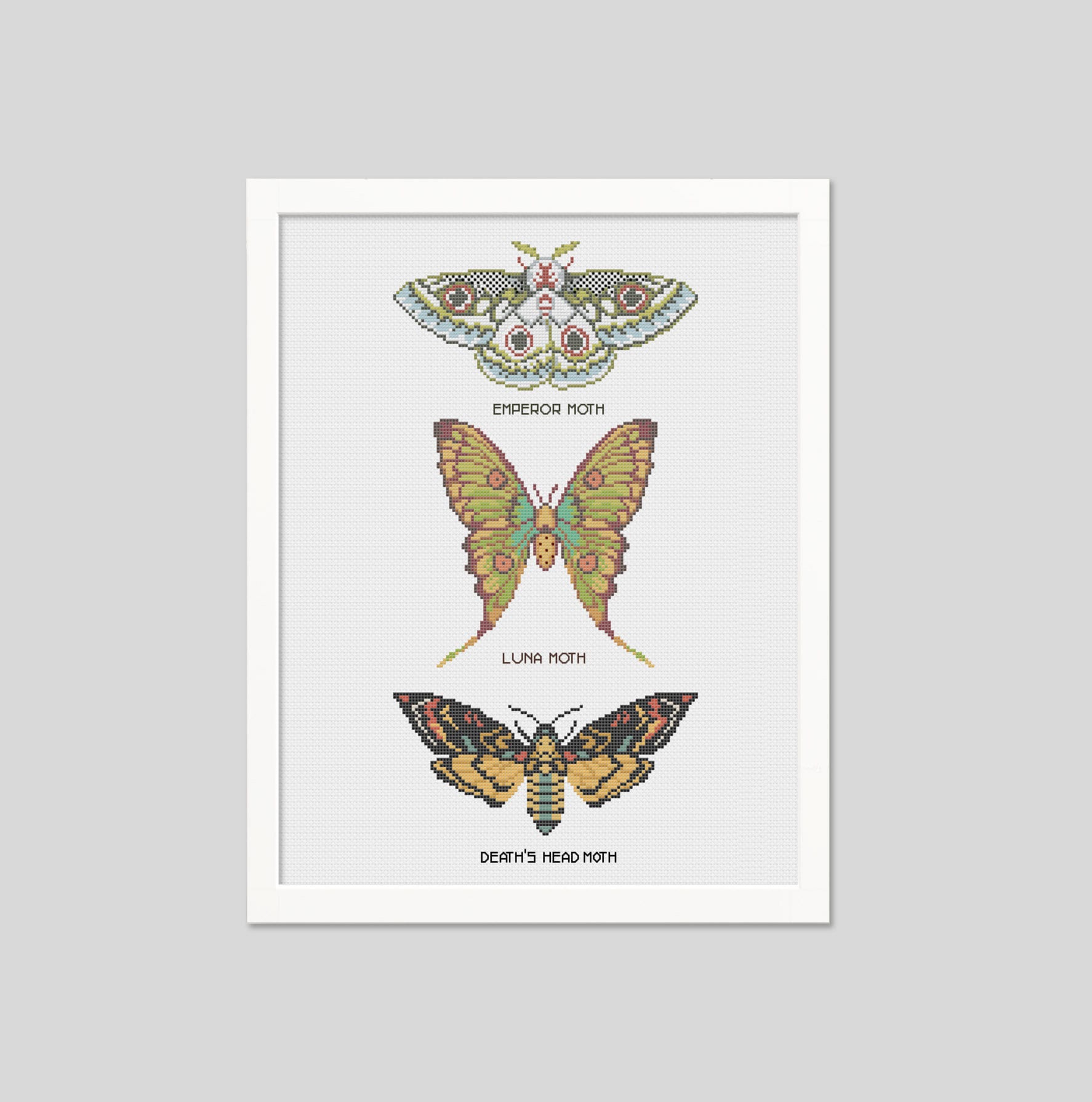Moth Cross Stitch Pattern Counted Cross-stitch Moth | Etsy