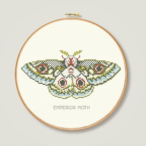 Moth Chart Print Moth Art Moth Poster Insect Art - Etsy Ireland