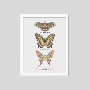 Moths Cross Stitch Pattern - SET 2 - Counted Cross-stitch - Moth Needlepoint Pattern - Insect - Instant Download PDF - Digital