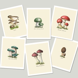 Mushroom Food Kitchen Print with Colorful Poisonous and Non-Poisonous Mushrooms image 4