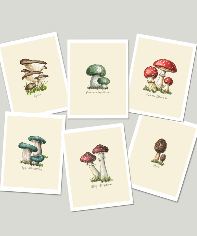 Mushroom Food Kitchen Print with Colorful Poisonous and Non-Poisonous Mushrooms image 4