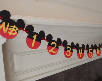 Mickey Mouse 1st Birthday Party Decorations Photo Banner First Year Birthday Baby Shower Banner by FeistyFarmersWife