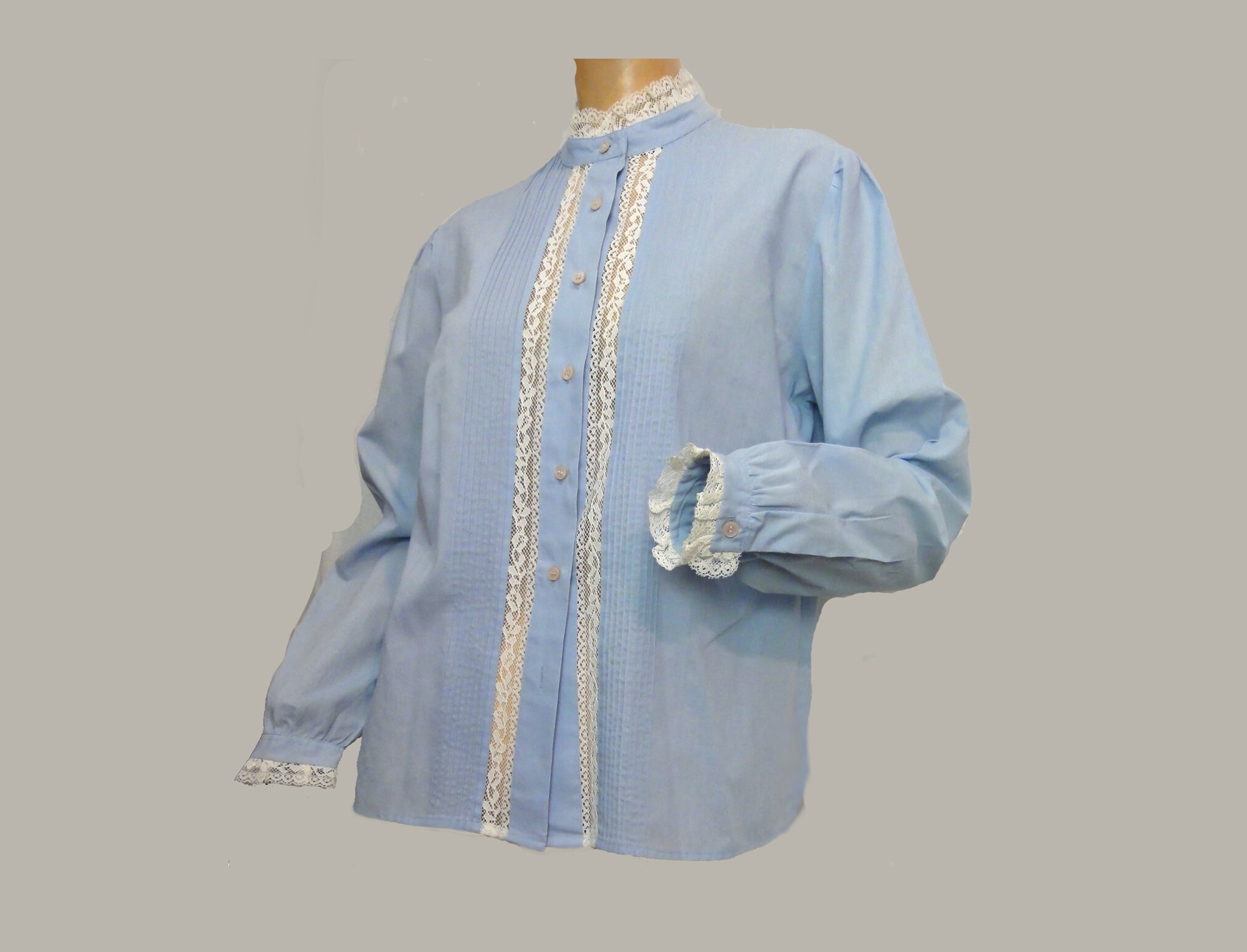 Blouse Designs Victorian Style High Neck Blouse Muriel Pleated - Main Image