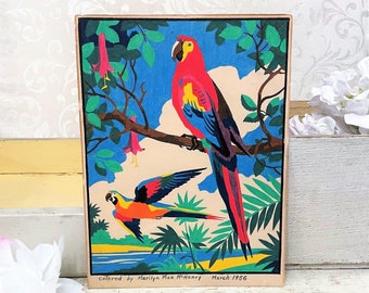 Colorful Vintage Parrot Amateur Art Illustration Marker on Paper Exotic Birds Beach House Décor Summer Tropical Boho Artwork 1950s