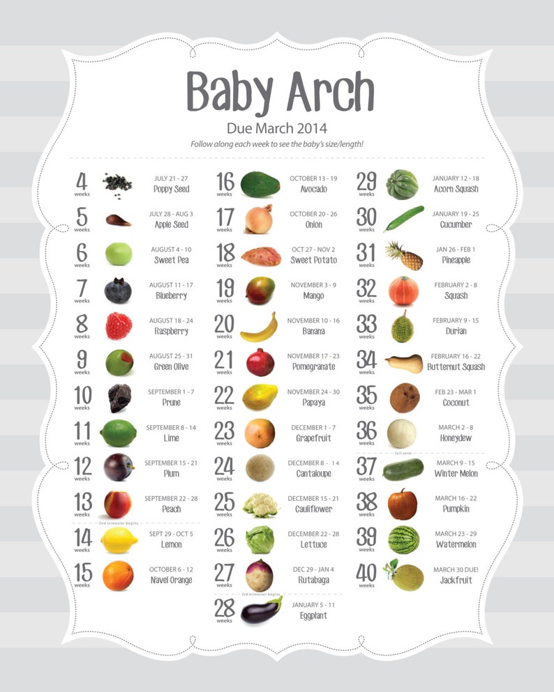 Custom Pregnancy Countdown Poster with Food Size ...