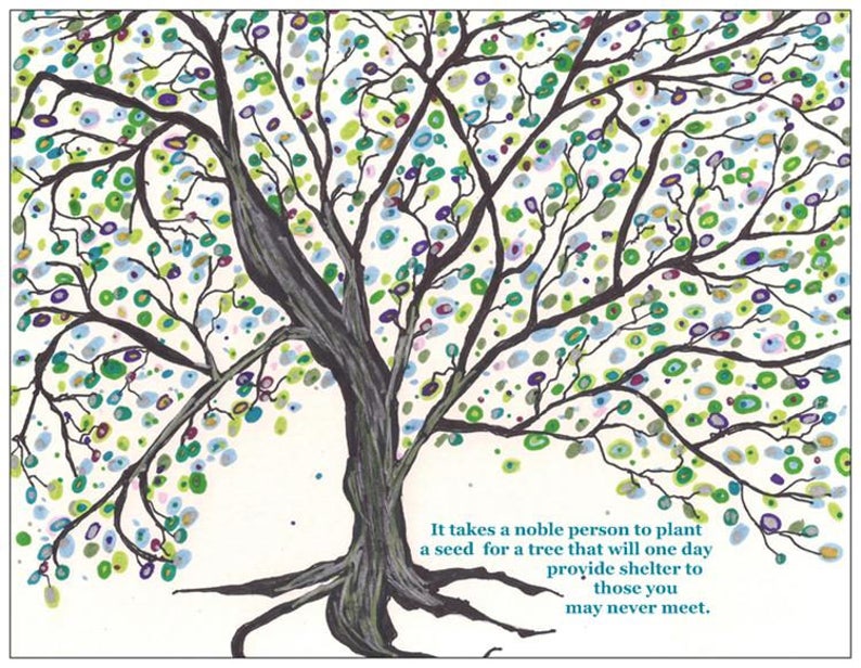 Trees on farms for shelter, conservation & profit