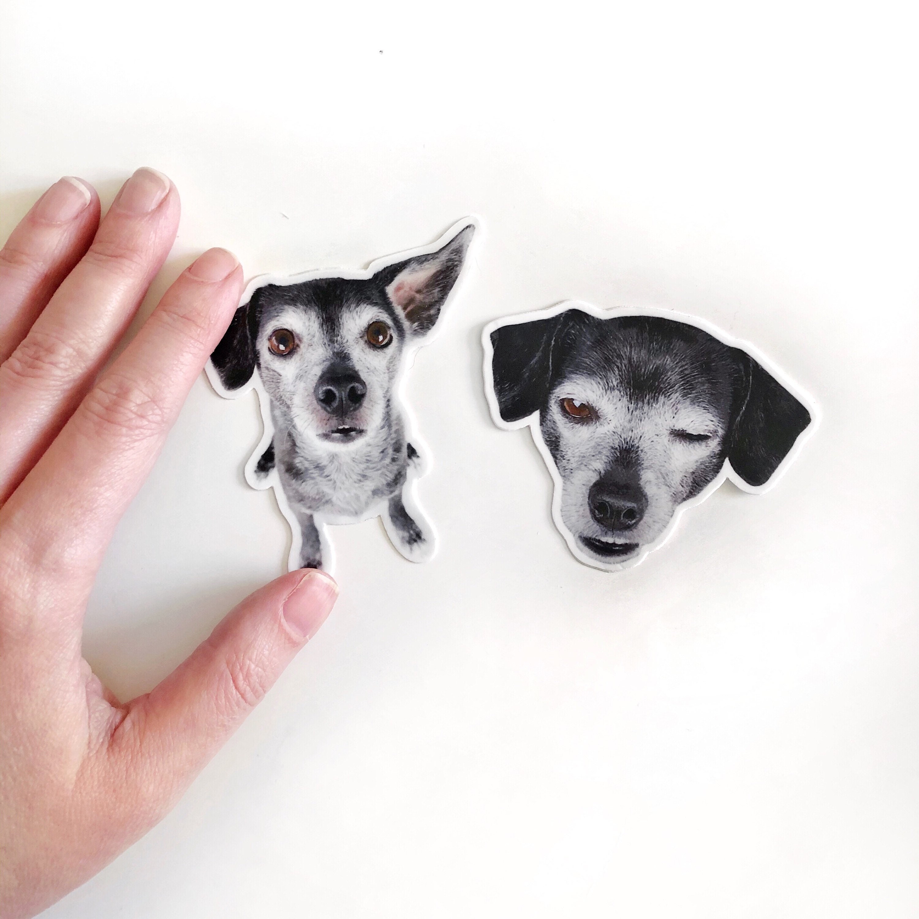 Toby Sticker