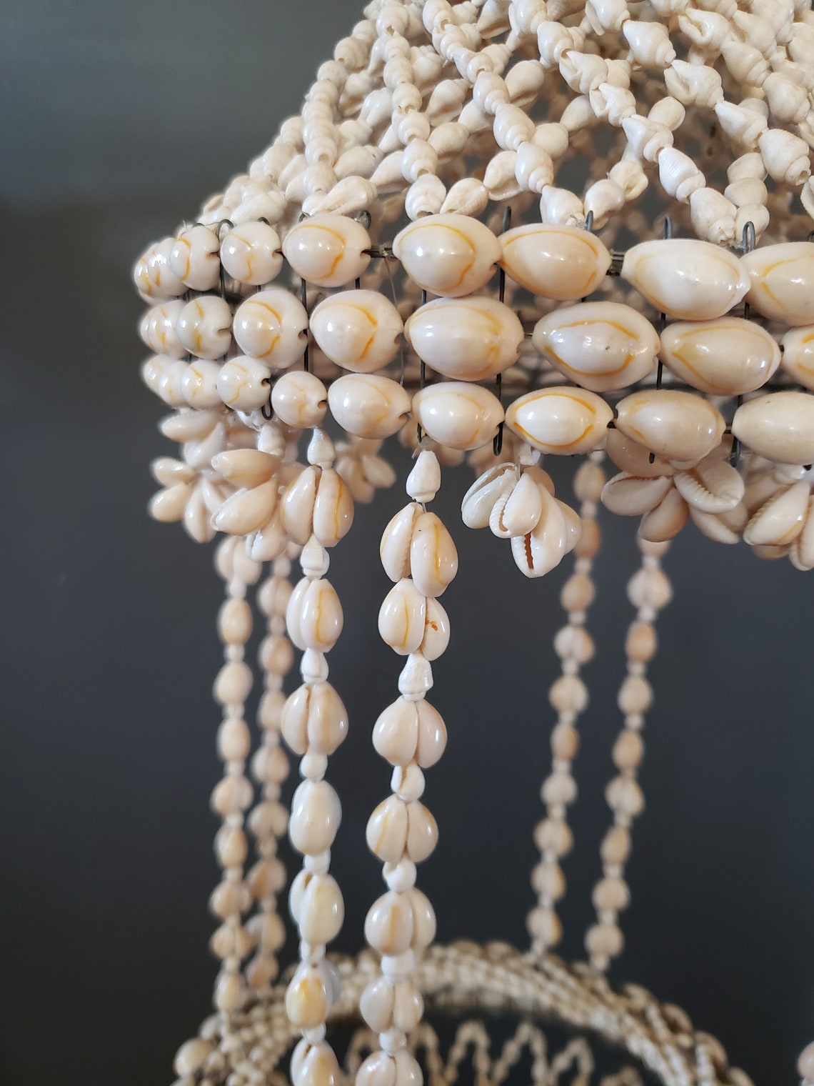 Hanging Shell Planter Vintage Cowrie Shell Plant Holder / Etsy