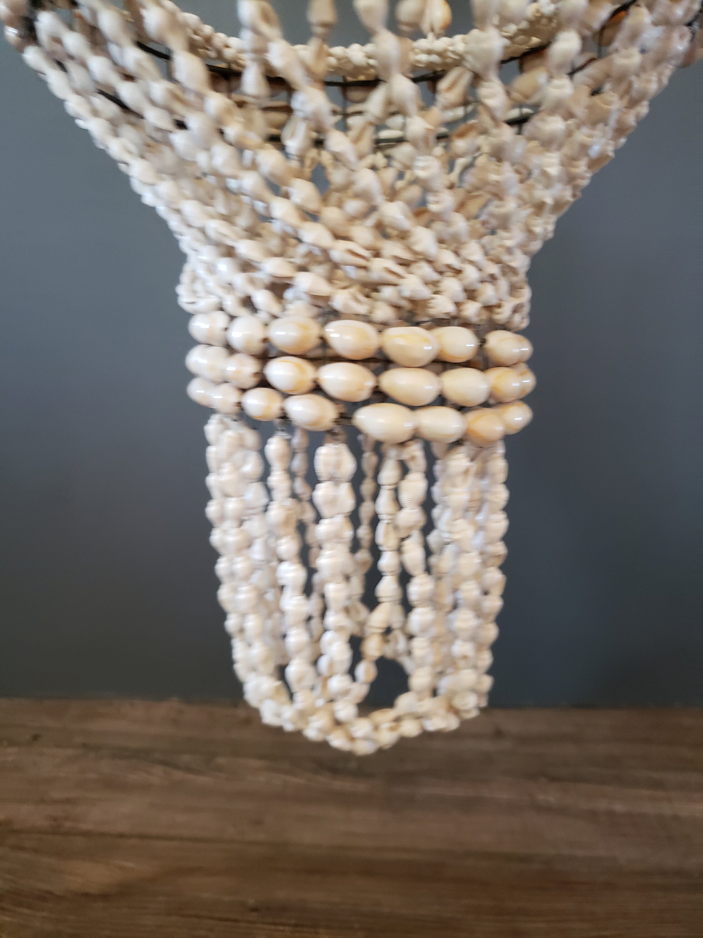 Hanging Shell Planter Vintage Cowrie Shell Plant Holder / Etsy
