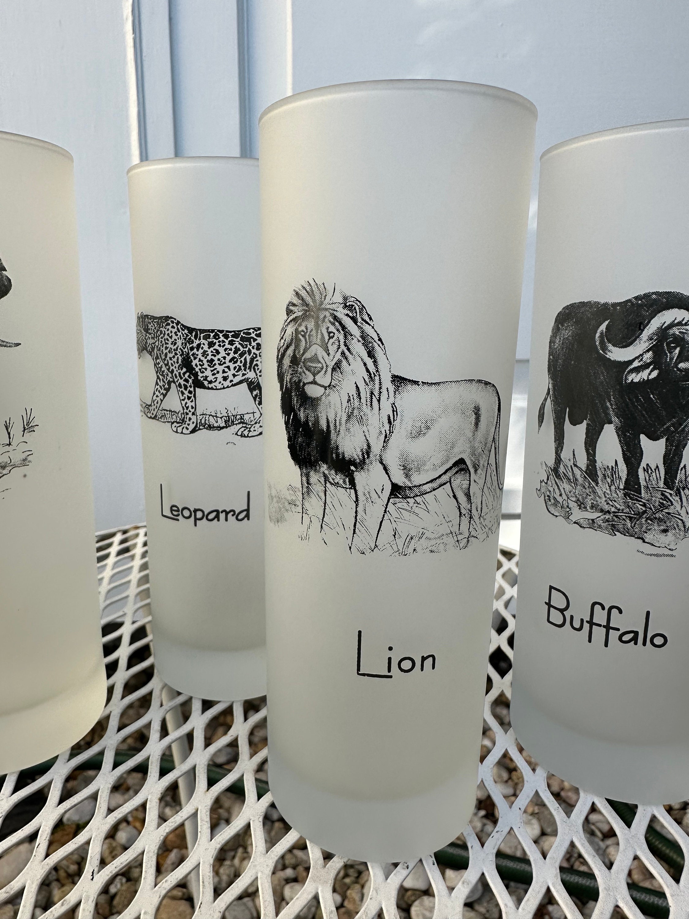 Vintage Safari Frosted Tumbler Glasses / the Big 5 Jungle Animal
