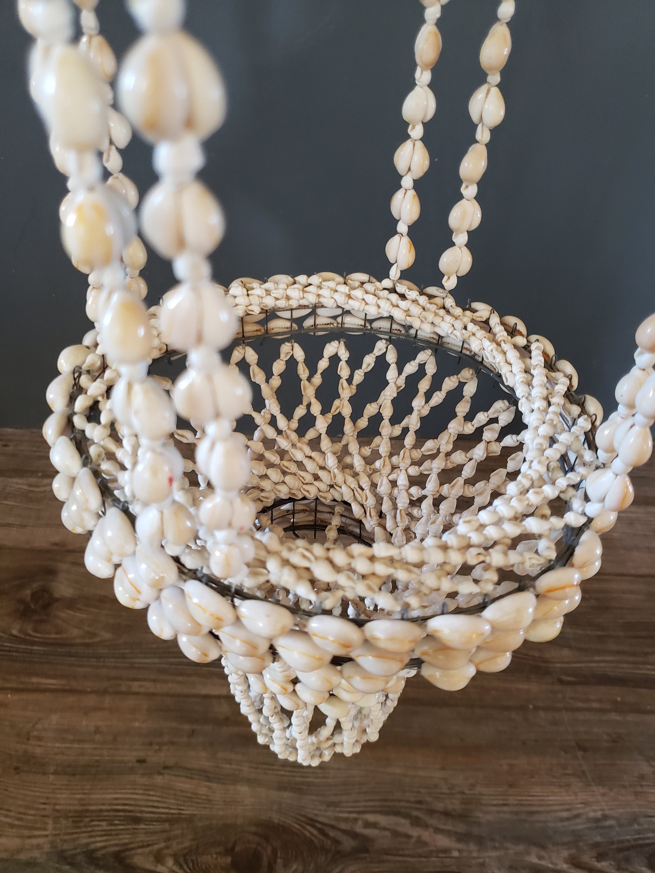 Hanging Shell Planter Vintage Cowrie Shell Plant Holder / Etsy