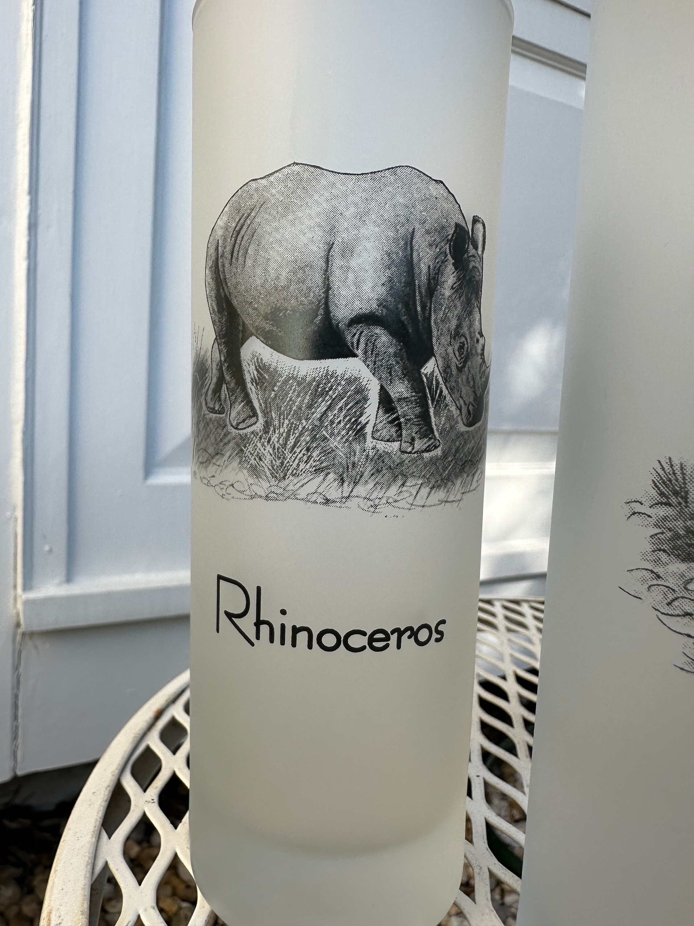 Vintage Safari Frosted Tumbler Glasses / the Big 5 Jungle Animal