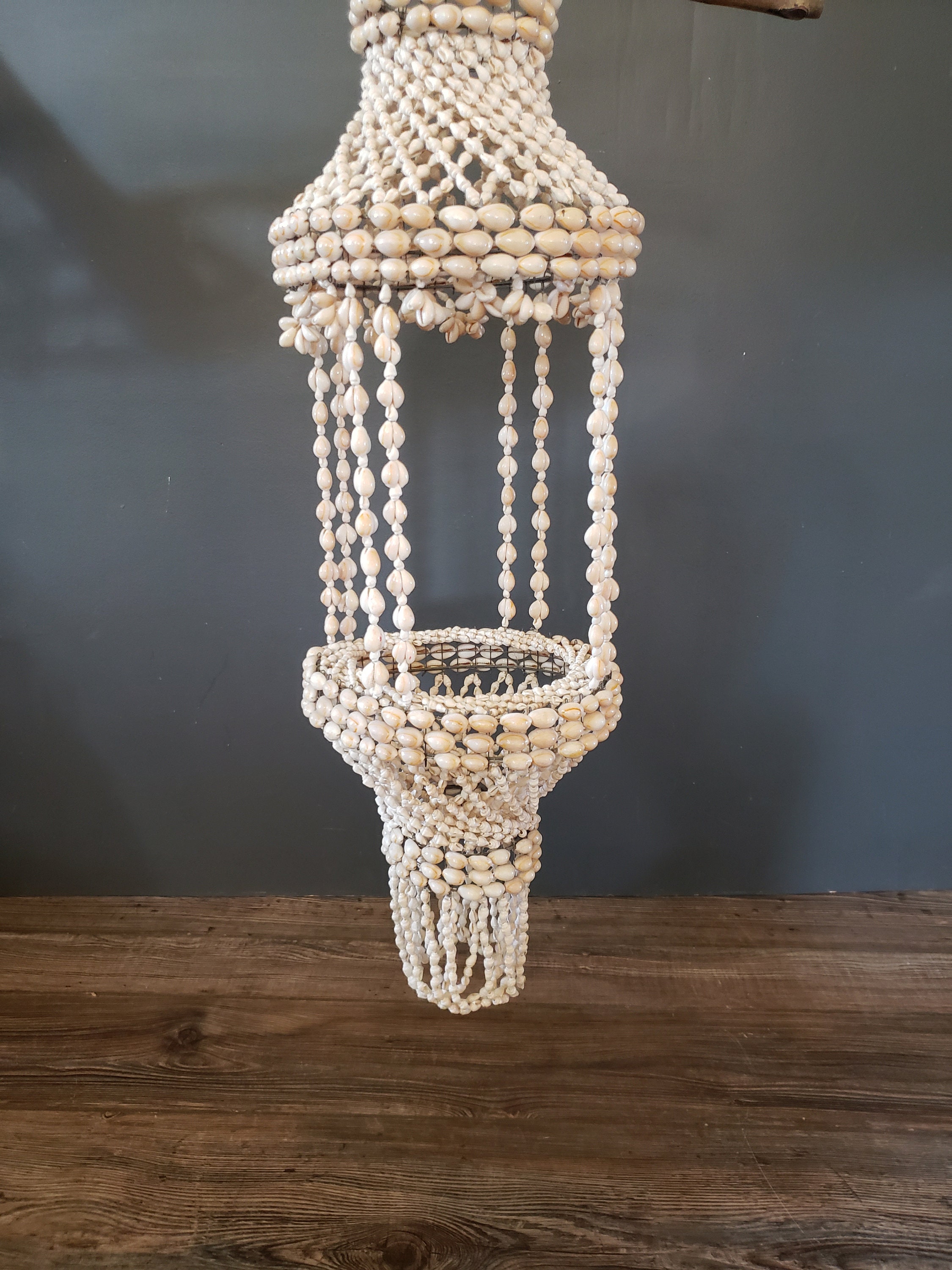 Hanging Shell Planter Vintage Cowrie Shell Plant Holder / Etsy