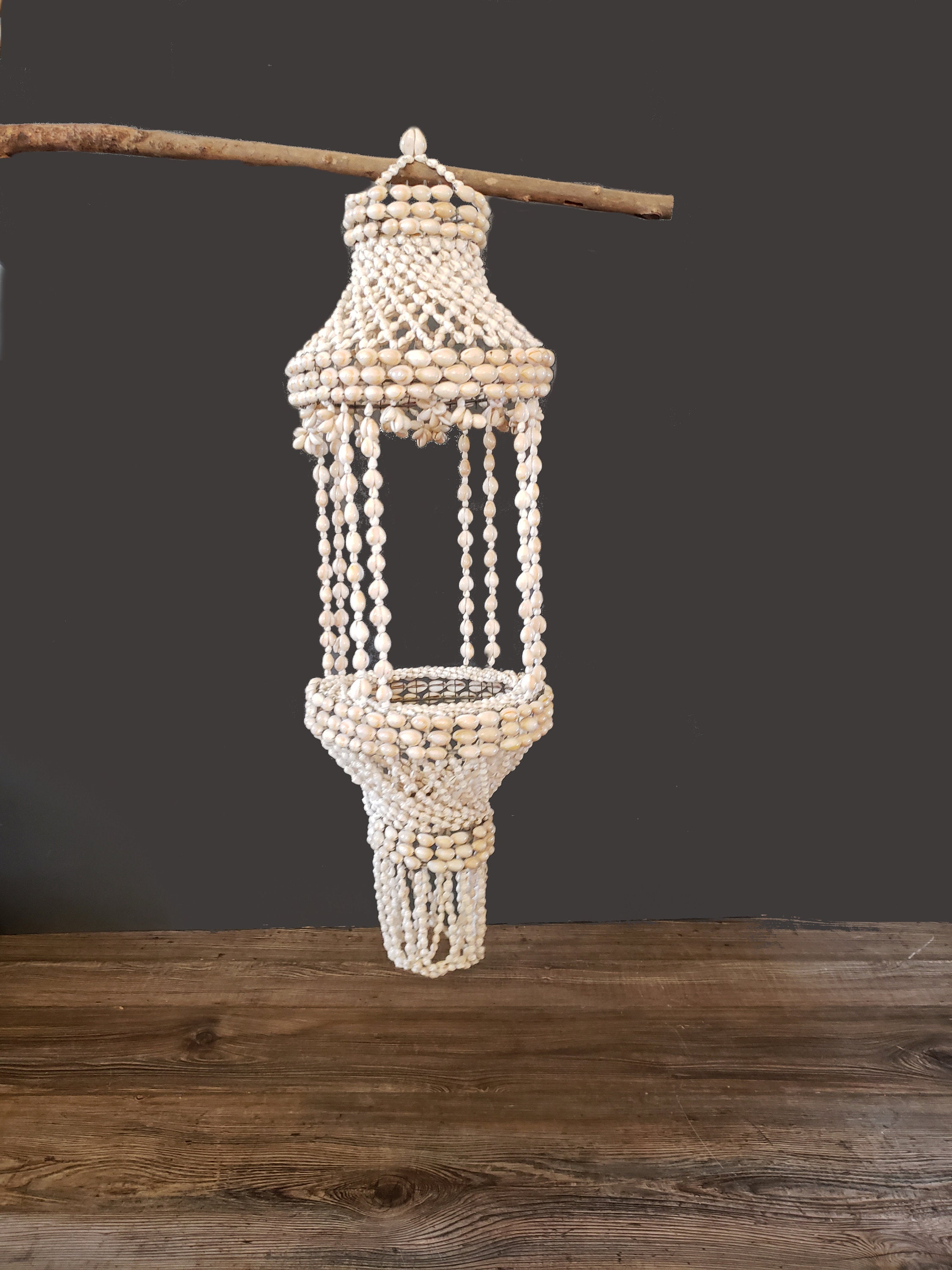 Hanging Shell Planter Vintage Cowrie Shell Plant Holder / Etsy