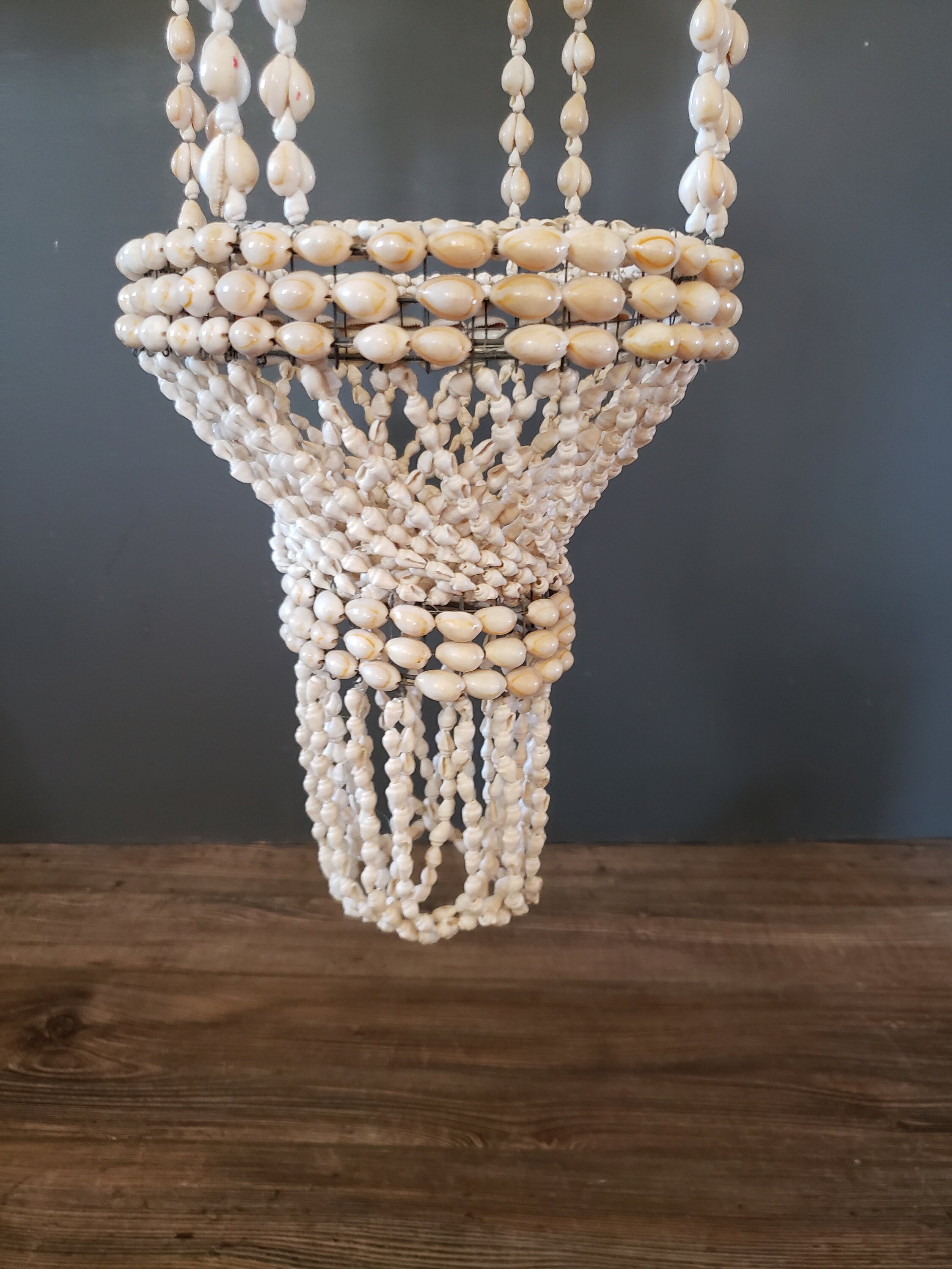 Hanging Shell Planter Vintage Cowrie Shell Plant Holder / Etsy